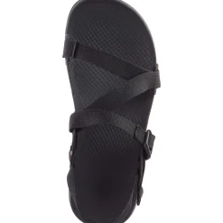 Chaco Men's Lowdown Sandal| Sandals
