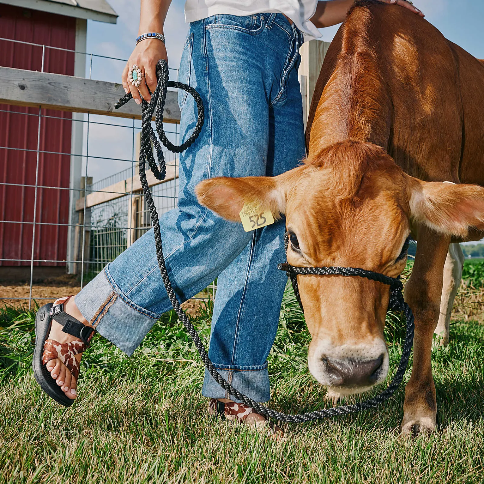 Chaco Men's Mega Cow Z/1 Wide-Strap Classic Sandal| Z/ Adjustable Sandals|Sandals