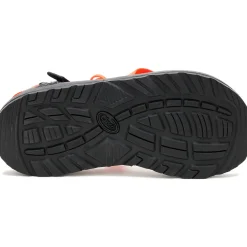 Chaco Men's Z/1 Adjustable Strap Classic Sandal| Sandals